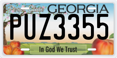 GA license plate PUZ3355