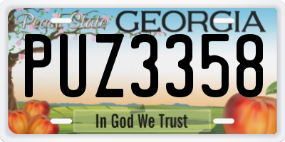 GA license plate PUZ3358