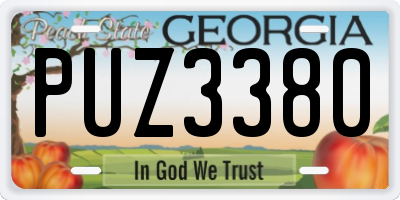 GA license plate PUZ3380