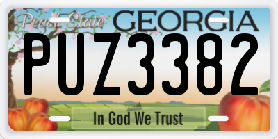 GA license plate PUZ3382