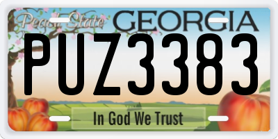GA license plate PUZ3383