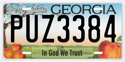 GA license plate PUZ3384