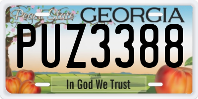 GA license plate PUZ3388