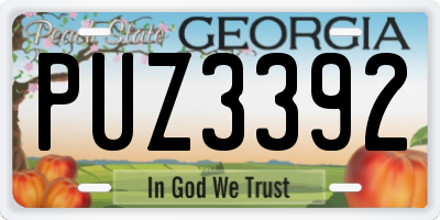 GA license plate PUZ3392