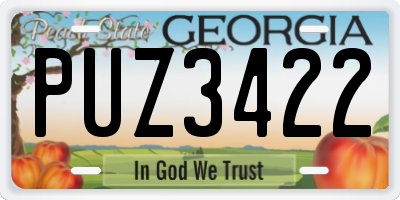 GA license plate PUZ3422