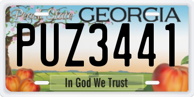GA license plate PUZ3441