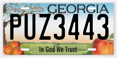 GA license plate PUZ3443