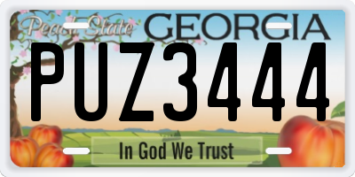 GA license plate PUZ3444