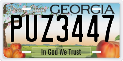 GA license plate PUZ3447
