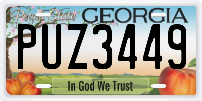 GA license plate PUZ3449