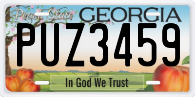 GA license plate PUZ3459