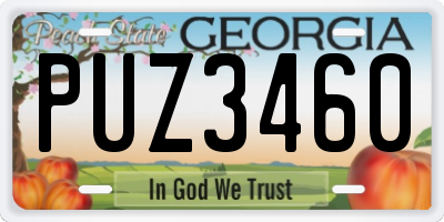 GA license plate PUZ3460