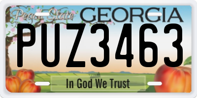 GA license plate PUZ3463