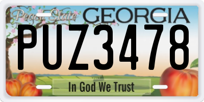 GA license plate PUZ3478