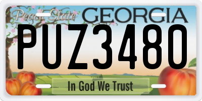 GA license plate PUZ3480