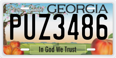 GA license plate PUZ3486