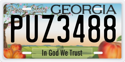 GA license plate PUZ3488