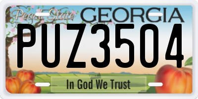 GA license plate PUZ3504
