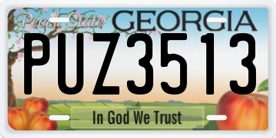 GA license plate PUZ3513