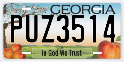 GA license plate PUZ3514