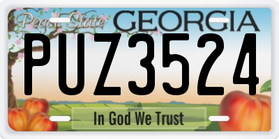 GA license plate PUZ3524
