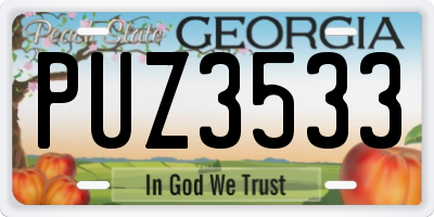 GA license plate PUZ3533