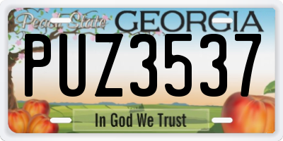 GA license plate PUZ3537