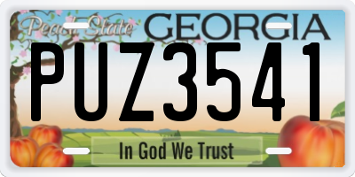GA license plate PUZ3541