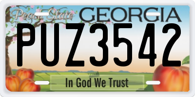 GA license plate PUZ3542