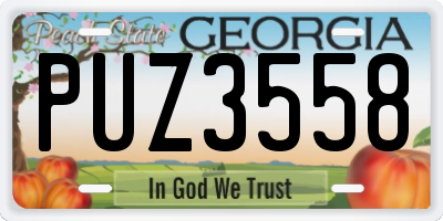 GA license plate PUZ3558