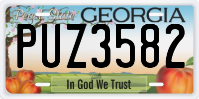 GA license plate PUZ3582