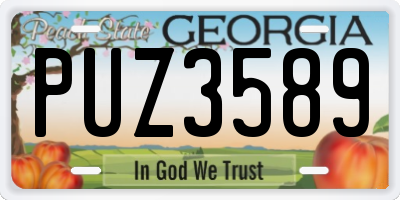 GA license plate PUZ3589