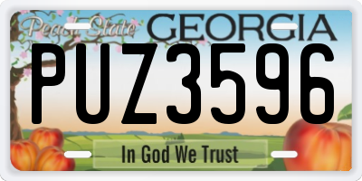 GA license plate PUZ3596