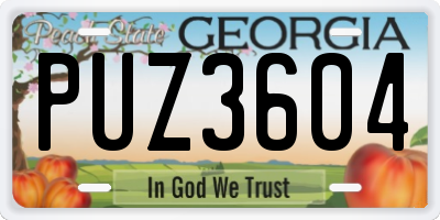 GA license plate PUZ3604