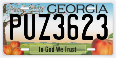GA license plate PUZ3623