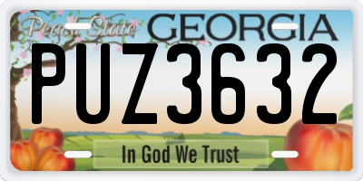 GA license plate PUZ3632