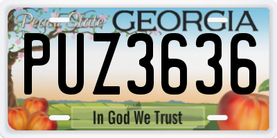 GA license plate PUZ3636