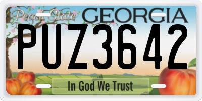 GA license plate PUZ3642