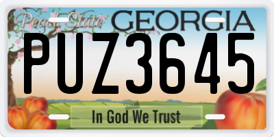 GA license plate PUZ3645