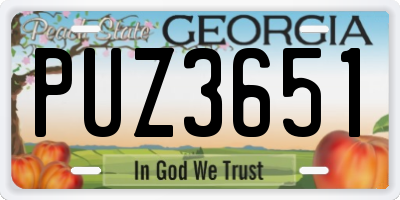 GA license plate PUZ3651