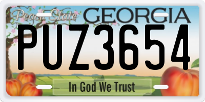 GA license plate PUZ3654