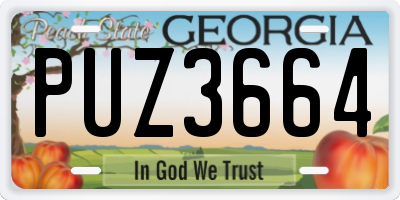 GA license plate PUZ3664