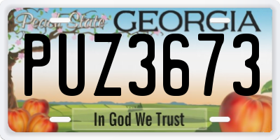 GA license plate PUZ3673