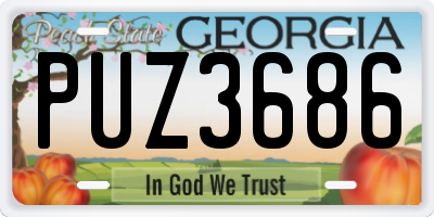 GA license plate PUZ3686