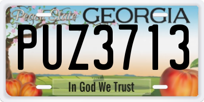 GA license plate PUZ3713