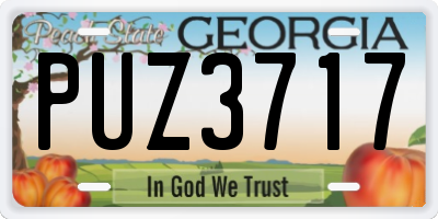 GA license plate PUZ3717