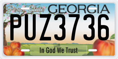 GA license plate PUZ3736