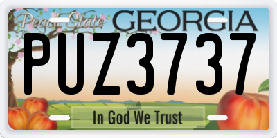 GA license plate PUZ3737