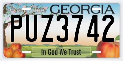 GA license plate PUZ3742