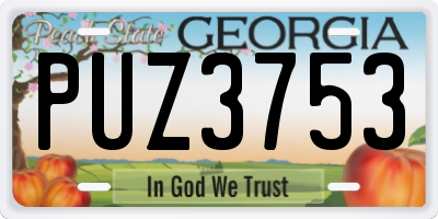 GA license plate PUZ3753
